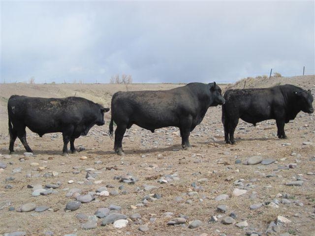 Fun & Info @ Keralites.net